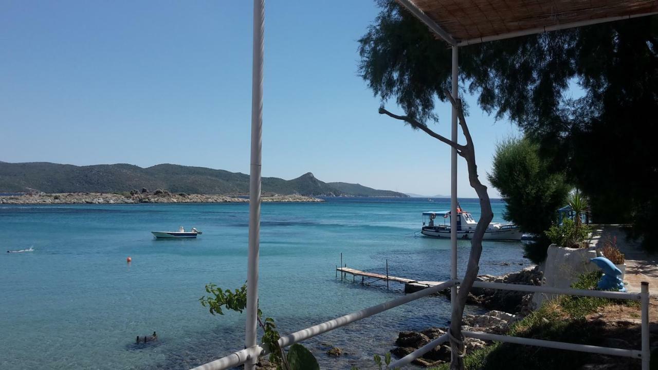 Island *