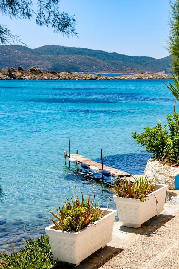 Island *