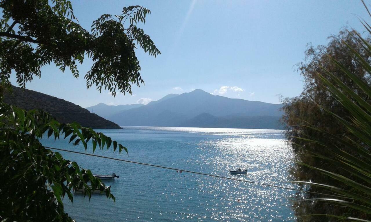 Διαμέρισμα Island *